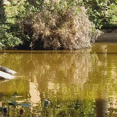 Reserva Del Higueron Palm And Pool