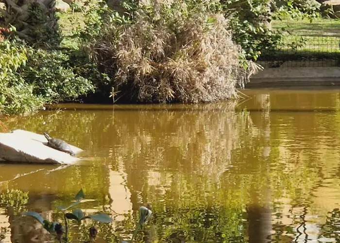 Reserva Del Higueron Palm And Pool